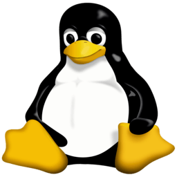 Homepage 24 linux